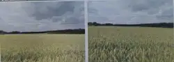 Grunty Wągrowiec — zdjęcie 1