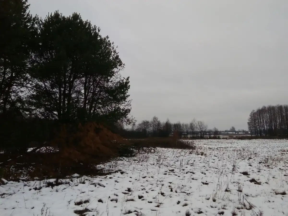 Grunty Szczecyn — zdjęcie 5