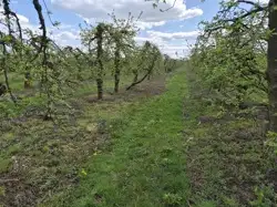 Działki Sandomierz — zdjęcie 1