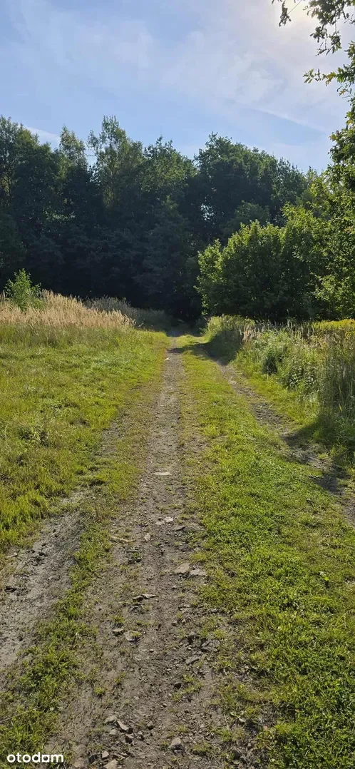 Grunty Miasteczko Śląskie — zdjęcie 6