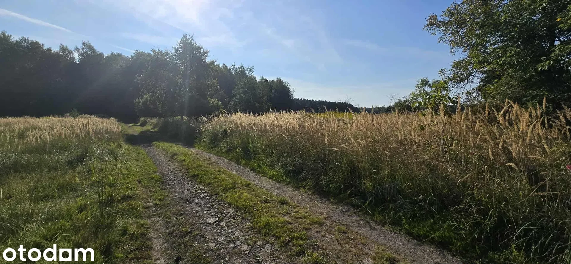 Grunty Miasteczko Śląskie — zdjęcie 7