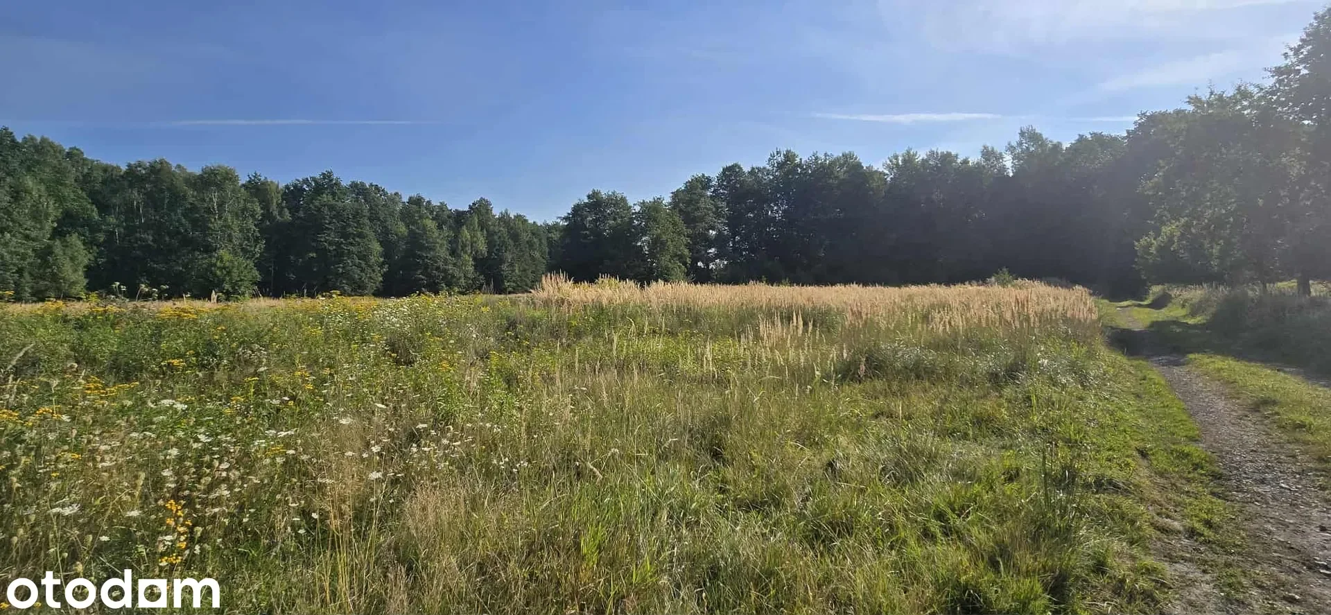 Grunty Miasteczko Śląskie — zdjęcie 8