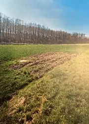 Grunty Opatów — zdjęcie 1