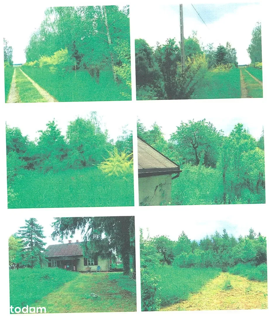 Inne nieruchomości Lipno — zdjęcie 9