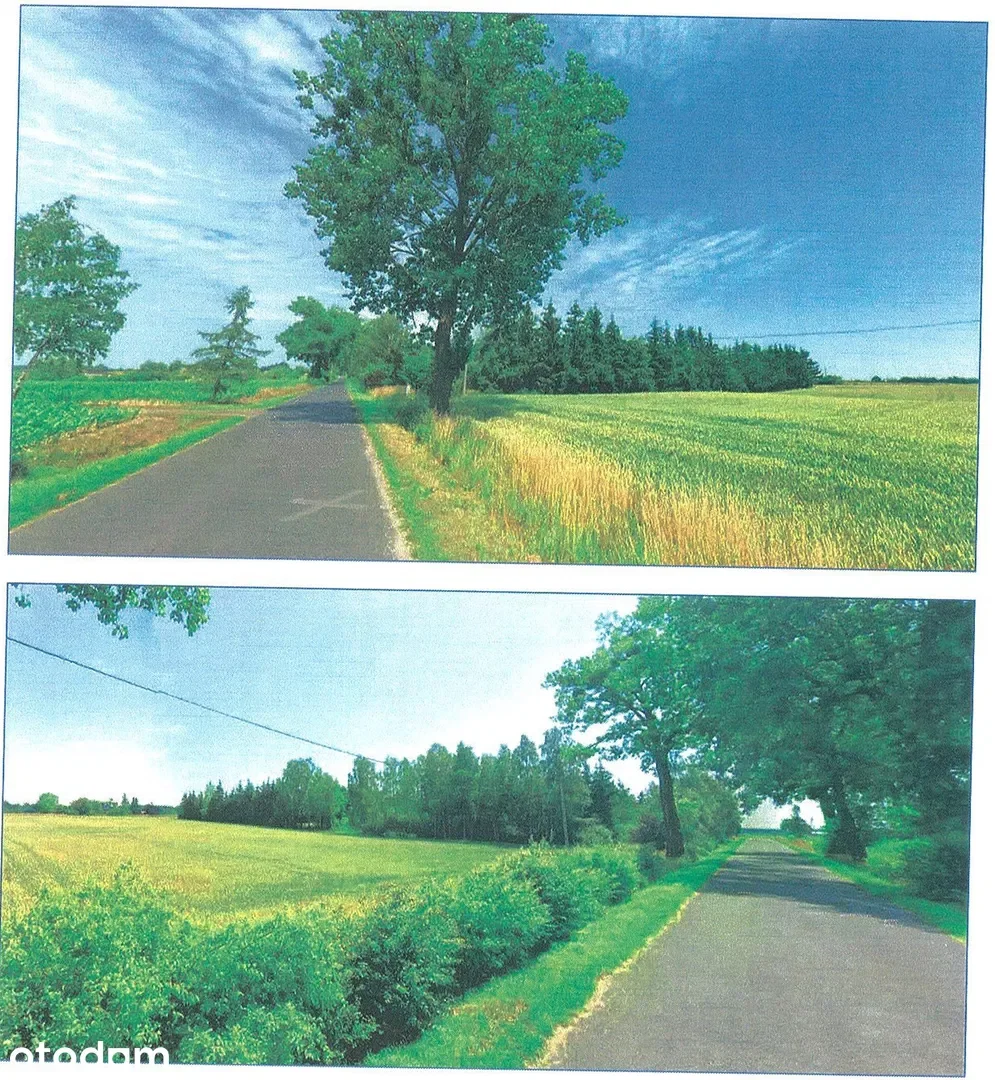 Inne nieruchomości Lipno — zdjęcie 10