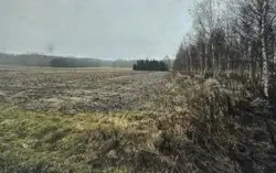 Grunty Myszków — zdjęcie 1