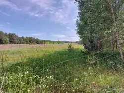 Grunty Kraśnik — zdjęcie 1