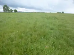 Zdjęcie 1