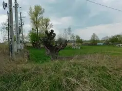 Grunty Kozienice — zdjęcie 1