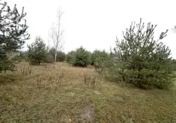 Zdjęcie 1