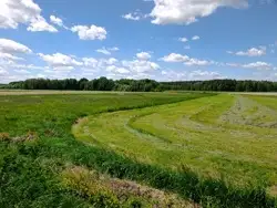 Grunty Bielsk Podlaski — zdjęcie 1
