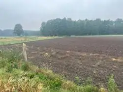 Grunty Leszno — zdjęcie 1