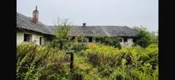 Grunty Lubaczów — zdjęcie 1