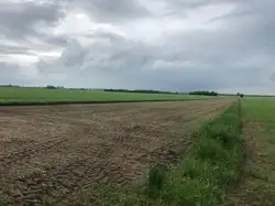Działki Piotrków Trybunalski — zdjęcie 1