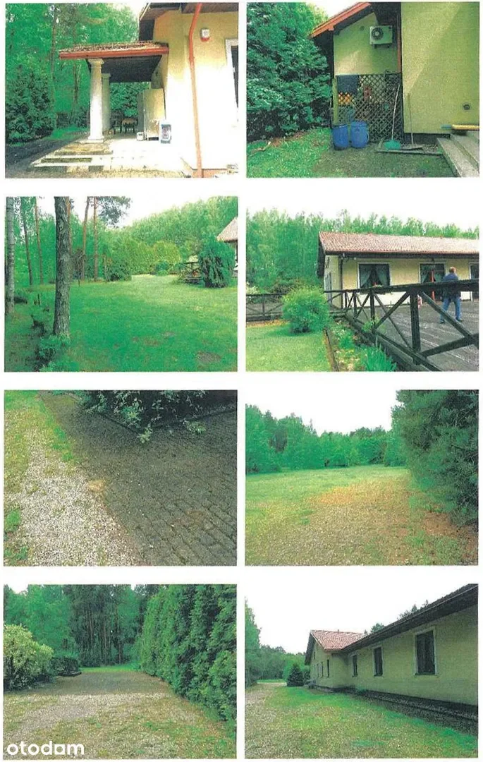 Lokale usługowe Wilga — zdjęcie 8