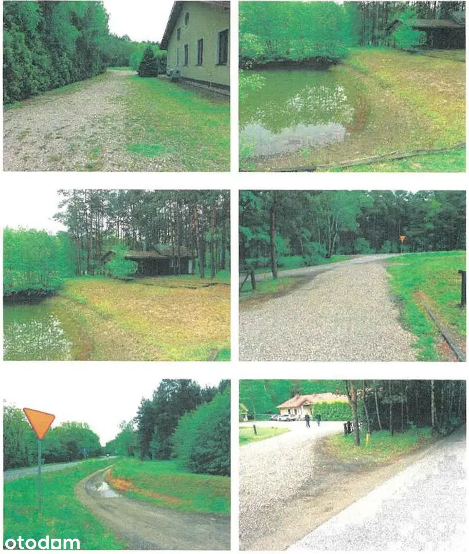 Lokale usługowe Wilga — zdjęcie 9