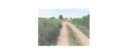 Zdjęcie 1