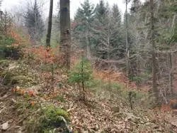 Grunty Przyborów — zdjęcie 1