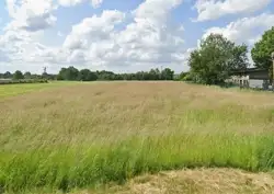 Zdjęcie 1