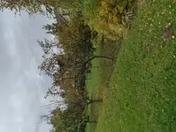 Zdjęcie 1