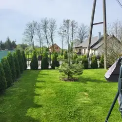Zdjęcie 1
