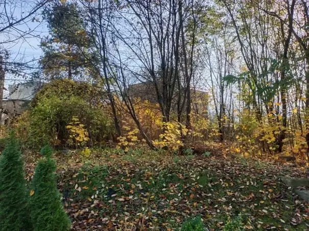 Grunty Ruda Śląska — zdjęcie 3