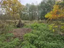 Zdjęcie 1