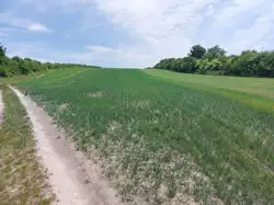 Grunty Kraśnik — zdjęcie 1