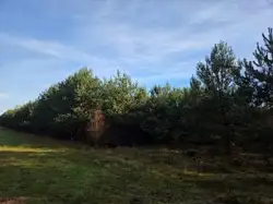Grunty Kozienice — zdjęcie 1