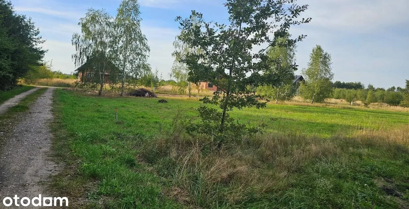 Grunty Drużbice — zdjęcie 4