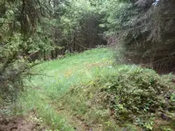 Zdjęcie 1