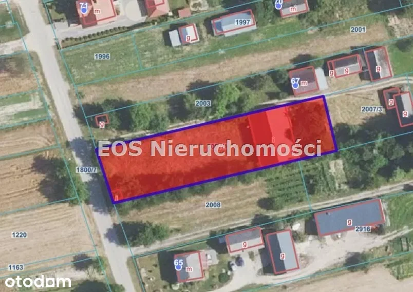 Magazyny i hale Frampol — zdjęcie 8