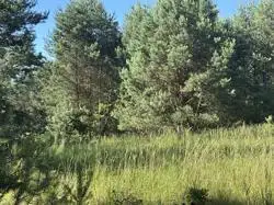 Zdjęcie 1