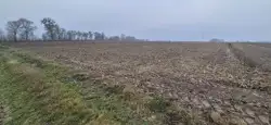 Zdjęcie 1