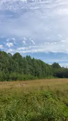 Działki Bielsk Podlaski — zdjęcie 1