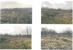 Grunty Tarnowskie Góry — zdjęcie 1