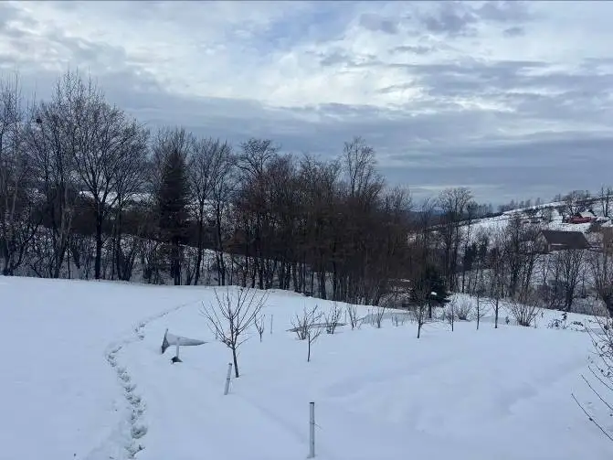 Grunty Gródek nad Dunajcem — zdjęcie 2