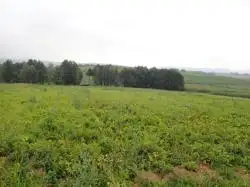 Zdjęcie 1