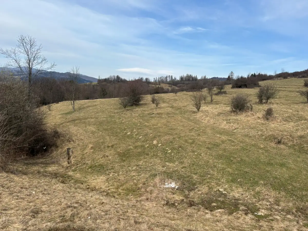 Grunty Szczawnica — zdjęcie 1