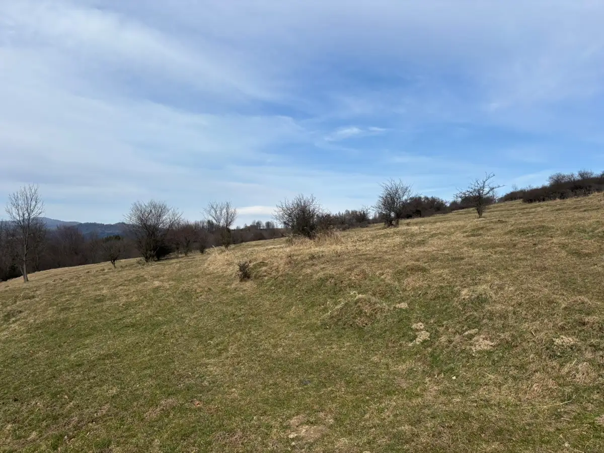 Grunty Szczawnica — zdjęcie 4