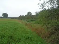 Działki Pyrzyce — zdjęcie 1