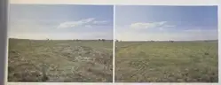 Zdjęcie 1