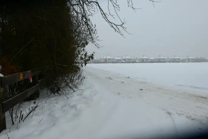 Zdjęcie 1