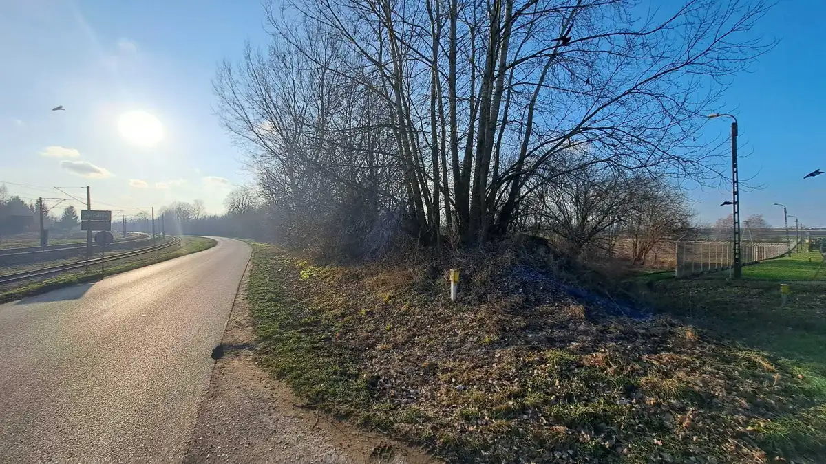 Zdjęcie 1