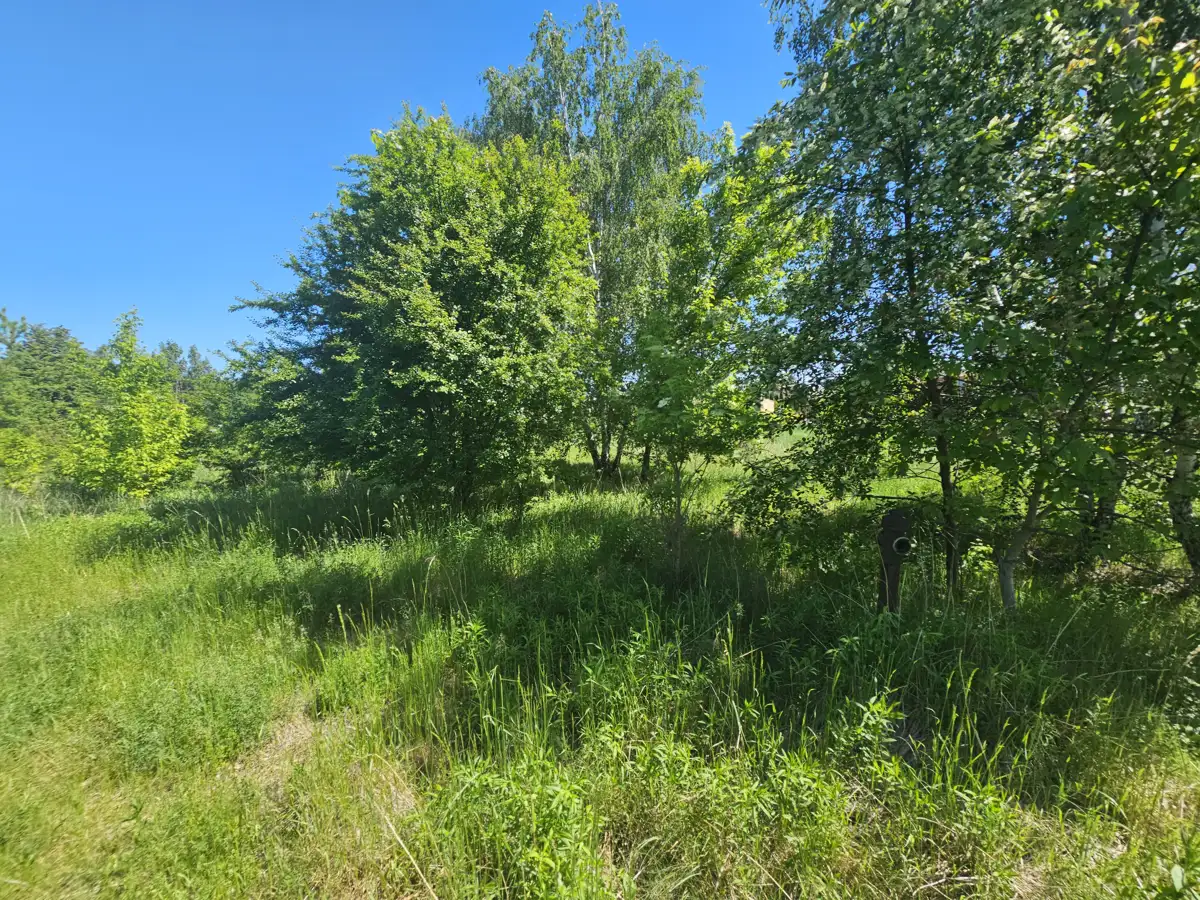 Grunty Krotoszyn — zdjęcie 2