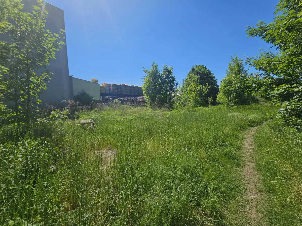 Grunty Krotoszyn — zdjęcie 3