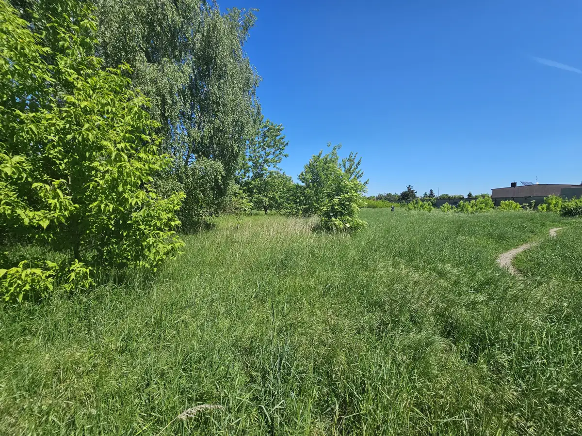 Grunty Krotoszyn — zdjęcie 4