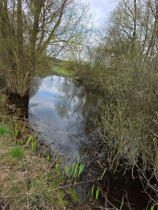 Grunty Karniewo — zdjęcie 1
