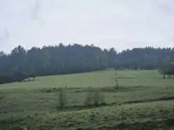 Grunty Muszyna — zdjęcie 1