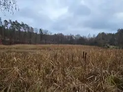 Działki Trzebnica — zdjęcie 1